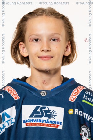 Nico Diener