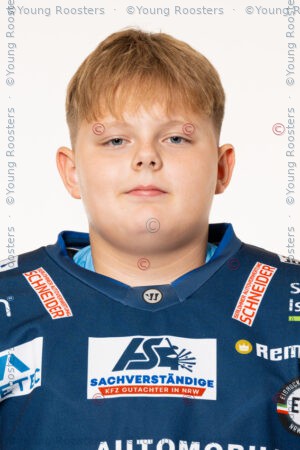 Robert Golovanov
